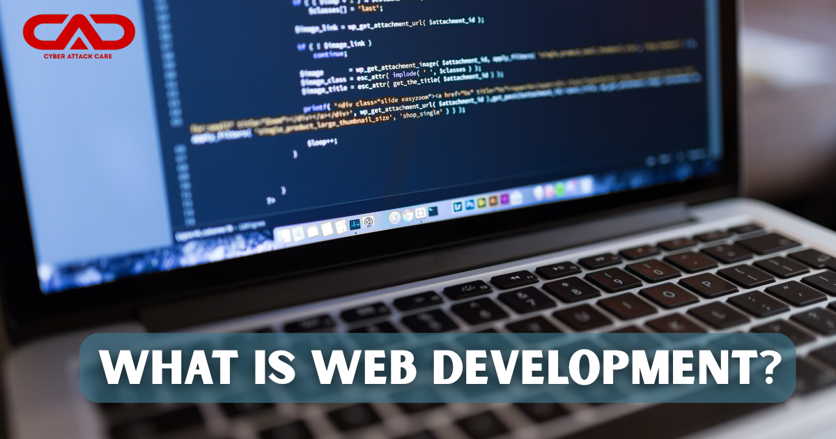 Web Development Career Path